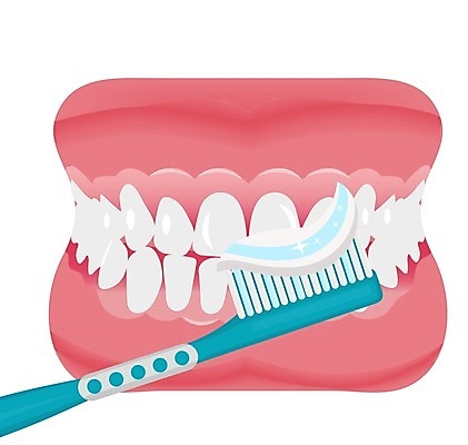 EPS 해외이미지 모델 일러스트 해부 왕관 건강 치과 병원 미소 사람 치료 약 3D 흰색 오픈 입 치아 부식 치과의사 턱 틀니 거짓 고립 돌봄 미백 위생관리 인공 잇몸 해외202004 해외일러스트 컬러 신체 의학 모션 표정 관리 신체부위 의사 소화기관 디지털합성 파일형식 벡터 이미지허브