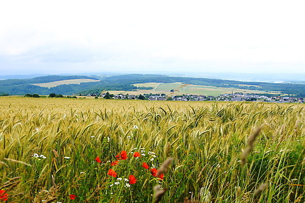 포토 JPG 해외이미지 사람없음 해외202004 해외포토 파일형식 이미지허브