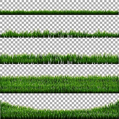 EPS 해외이미지 식물 공원 백그라운드 잎 패턴 밭 일러스트 자연 벽지 놀이 추상 프레임 잔디 야외 가로 초록색 여름 세트 환경 축구 봄 활발 흰색 신선 보호 큼 땅 허브 원예 질감 심플 각도 내추럴 고립 해외202004 해외일러스트 계절 공공시설 컬러 컨셉 무늬 농업 취미 구기 크기 생태계 파일형식 벡터 이미지허브