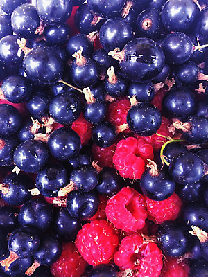 포토 JPG 해외이미지 디자인 계절 열매 줄 음식 백그라운드 잎 다이어트 과일 재료 자연 프레임 건강 사람없음 빨간색 초록색 컬러풀 정원 시골 신선 반지 원형 다발 묘사 오브젝트 유기농 원예 날것 산딸기 내추럴 건포도 고립 숙성 신맛 현재 해외202004 해외포토 도형 식물 웰빙 컬러 컨셉 장신구 포도 취미 맛 생태계 건과일 파일형식 이미지허브