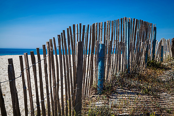 포토 JPG 해외이미지 나무 모래 파도 바다 섬 여행 자연 하늘 휴가 휴식 파노라마 풍경 사람없음 물 여름 파란색 맑음 프랑스 만 지중해 남쪽 내추럴 코르시카 터키석 해외202004 해외포토 자연요소 식물 계절 유럽 컬러 컨셉 날씨 촬영기법 보석 방향 생태계 파일형식 이미지허브