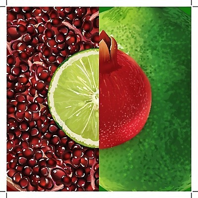 EPS 해외이미지 클립아트 음식 잎 과일 일러스트 포장 자연 디저트 요리 그래픽 장식 빨간색 초록색 컬러풀 꼬리표 라벨 주방 식당 주스 수확 신선 맛 낟알 잼 먹기 에코 유기농 배지 라임 석류 통조림 내추럴 고립 숙성 해외202004 해외일러스트 식물 웰빙 음료 컬러 컨셉 농업 모션 프레임 환경 상점 소스_음식 생태계 파일형식 벡터 이미지허브