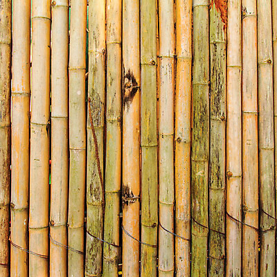 포토 JPG 해외이미지 전통 디자인 아시아 벽 백그라운드 패턴 자연 추상 동양인 사람없음 목재 장식 울타리 갈색 노란색 일본 중국 나뭇가지 원형 막대기 다발 대나무 질감 내추럴 해외202004 해외포토 도형 나무 나라 컬러 무늬 재료 인종 담장 생태계 파일형식 이미지허브