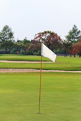 포토 JPG 해외이미지 나무 식물 직업 라이프스타일 스포츠 백그라운드 밭 골프 공 자연 놀이 휴가 풍경 잔디 사람없음 야외 초록색 여름 운동 태양 일몰 경쟁 장비 게임 흰색 골퍼 닫기 강의 오브젝트 클럽 슛 내추럴 골프티 해외202004 해외포토 자연요소 계절 컬러 컨셉 농업 모션 운동선수 골프용품 건강 생활 구기 노을 생태계 파일형식 이미지허브