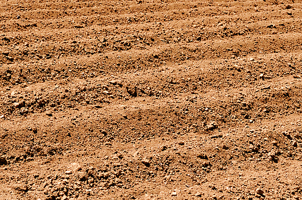 포토 JPG 해외이미지 계절 백그라운드 패턴 밭 농업 자연 풍경 사람없음 야외 가로 농장 갈색 경작 봄 줄무늬 성장 시골 땅 만취 준비 질감 조경 먼지 장면 선로 쟁기 줄서기 지속성 직진 소멸 세련 해외202004 해외포토 산업 컬러 무늬 모션 농사 생태계 술취함 파일형식 이미지허브