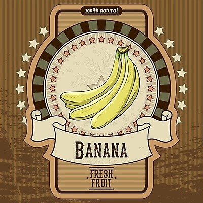 EPS 해외이미지 전통 디자인 배너 리본 종이 백그라운드 컨셉 과일 일러스트 텍스트 추상 바나나 광고판 미술 장식 빨간색 라벨 방 신선 그리기 스케치 그림 그런지 식욕 어려움 스타일 해외202004 해외일러스트 컬러 무늬 모션 문화예술 프레임 알림판 판 파일형식 벡터 이미지허브