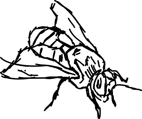 EPS 해외이미지 캐릭터 디자인 꽃 행복 음식 나비 곤충 백그라운드 패턴 날개 일러스트 자연 추상 건강 미술 그래픽 장식 여름 세트 노란색 검은색 봄 흰색 벌레 말벌 만화 벌 수집 사인 그림 유기농 벌집 내추럴 엘리먼트 호박벌 해외202004 해외일러스트 일러캐릭터 식물 동물 웰빙 계절 감정 컬러 무늬 문화예술 벌_곤충 생태계 파일형식 벡터 이미지허브