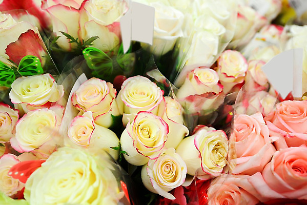 포토 JPG 해외이미지 식물 기념일 꽃잎 꽃 분홍색 꽃다발 잎 꽃무늬 자연 결혼식 발렌타인데이 선물 사랑 사람없음 장식 초록색 세트 장미 노란색 정원 축제 놀람 봄 성장 벚꽃 흰색 축하 신선 개화 그룹 의식 큼 다발 수집 심볼 질감 향기 아로마 열정 악취 멀티 해외202004 해외포토 계절 감정 컬러 결혼 컨셉 무늬 데이이벤트 표정 이벤트 크기 생태계 냄새 파일형식 이미지허브