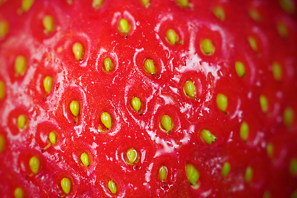 포토 JPG 해외이미지 식물 열매 음식 백그라운드 다이어트 과일 자연 딸기 디저트 건강 사람없음 빨간색 신선 닫기 달콤 유기농 날것 내추럴 해외202004 해외포토 웰빙 컬러 모션 맛 생태계 파일형식 이미지허브