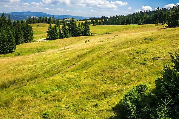 포토 JPG 해외이미지 나무 식물 구름 계절 유럽 여행 백그라운드 밭 자연 하늘 산 풍경 경사 잔디 사람없음 야외 목재 초록색 여름 환경 계곡 침묵 시골 소나무 숲 언덕 침엽수 내추럴 감탄 해외202004 해외포토 자연요소 나라 컬러 농업 재료 소리 생태계 파일형식 이미지허브