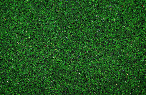 포토 JPG 해외이미지 백그라운드 밭 잔디 사람없음 초록색 질감 인공 해외202004 해외포토 식물 컬러 농업 파일형식 이미지허브