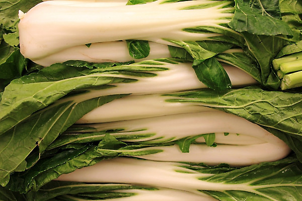 포토 JPG 해외이미지 식물 음식 다이어트 채소 건강 사람없음 초록색 저녁식사 중국 흰색 시장 양배추 내추럴 고립 해외202004 해외포토 아시아 컬러 식사 파일형식 이미지허브