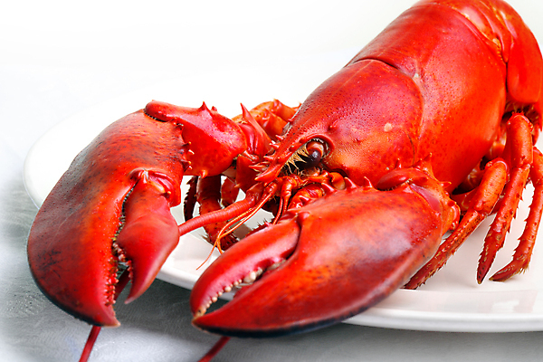 포토 JPG 해외이미지 접시 음식 바다 다이어트 건강 요리 사람없음 식당 식사 저녁식사 신선 바닷가재 준비 건강식 점심식사 단백질 삶기 해외202004 해외포토 식기 상점 가재 영양소 파일형식 갑각류 동물 이미지허브