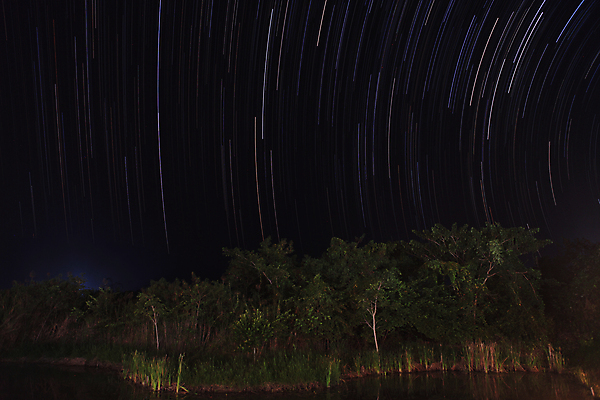 포토 JPG 해외이미지 나무 식물 별 백그라운드 잎 자연 벽지 하늘 날씨 풍경 사람없음 야외 환경 어둠 활발 시골 신선 원형 야간 저녁 언덕 장면 천문학 탐사 내추럴 해외202004 해외포토 자연요소 도형 교육 컨셉 생태계 파일형식 이미지허브