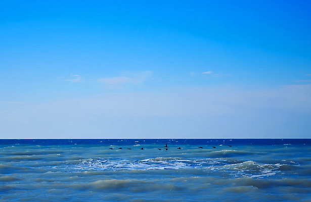 포토 JPG 해외이미지 파도 바다 자연 바람 날씨 해변 사람없음 가로 물 파란색 힘 거품 손상 분노 신선 황무지 가장자리 떨어짐 위험 분무기 단절 때리기 투쟁 힘찬 해외202004 해외포토 자연요소 감정 컬러 컨셉 모션 둘레 생태계 파일형식 이미지허브