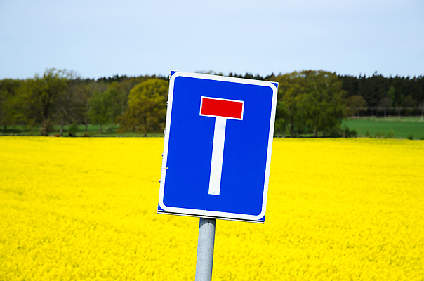 포토 JPG 해외이미지 밭 자연 하늘 스웨덴 사람없음 야외 빨간색 파란색 컬러풀 노란색 봄 닫기 사인 유채 도로표지판 봉 카놀라 해외202004 해외포토 계절 꽃 도로 컬러 농업 모션 북유럽 표지판 생태계 파일형식 이미지허브