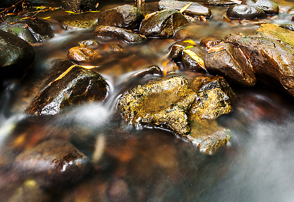 포토 JPG 해외이미지 식물 여행 백그라운드 잎 모션 태국 자연 벽지 휴가 휴식 이끼 풍경 사람없음 야외 목재 초록색 물 평화 환경 놀람 봄 폭포 촉촉함 흐름 가을 바위 신선 숲 시원함 즐거움 에메랄드 부드러움 천국 내추럴 생태학 파라다이스 현재 그리너리 해외202004 해외포토 자연요소 나무 계절 교육 감정 아시아 컬러 컨셉 재료 표정 젖음 돌_바위 감각 보석 생태계 파일형식 트랜드컬러 이미지허브