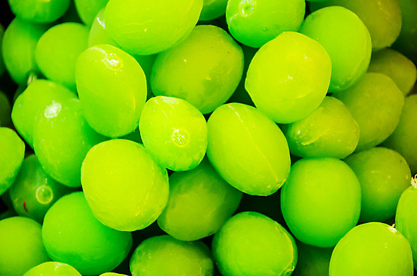 포토 JPG 해외이미지 전통 음식 백그라운드 재료 자연 건강 씨앗 사람없음 초록색 약 나뭇가지 신선 달콤 허브 묘사 날것 영양분 그리너리 해외202004 해외포토 나무 식물 컬러 의학 맛 생태계 파일형식 트랜드컬러 이미지허브