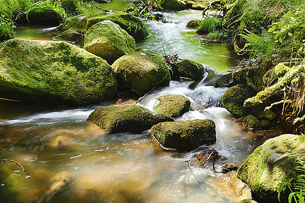 포토 JPG 해외이미지 나무 식물 계절 공원 잎 모션 자연 풍경 사람없음 야외 물 여름 빛 강 달리기 햇빛 태양 평화 환경 맑음 침묵 봄 폭포 젖음 흐름 바위 시골 개울 떨어짐 숲 크리스탈 속도 내추럴 해외202004 해외포토 자연요소 공공시설 컨셉 날씨 소리 돌_바위 광석 생태계 파일형식 이미지허브