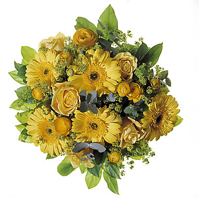 포토 JPG 해외이미지 식물 계절 꽃 줄기 꽃다발 백그라운드 꽃무늬 휴가 선물 사람없음 여름 노란색 봄 흰색 축하 신선 생일 개화 다발 꽃집 기회 향기 고립 구성 해외202004 해외포토 기념일 컬러 컨셉 무늬 상점 냄새 파일형식 이미지허브