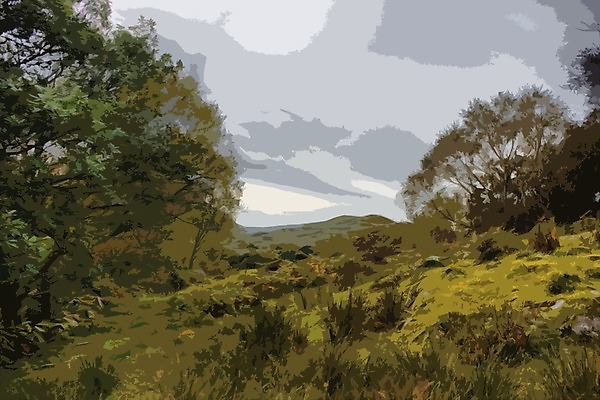 EPS 해외이미지 나무 구름 공원 밭 일러스트 풍경 시골 장면 전국 스노도니아 해외202004 해외일러스트 자연요소 식물 공공시설 농업 파일형식 벡터 이미지허브