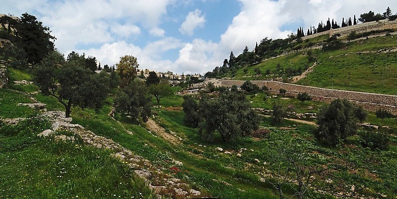 포토 JPG 해외이미지 나무 식물 구름 꽃 길 중동 자국 하늘 산 풍경 사람없음 초록색 파란색 계곡 봄 도시 역사 언덕 올리브 신성 희생 슬로프 예루살렘 옛날 이스라엘 팔레스타인 해외202004 해외포토 자연요소 계절 열매 나라 컬러 스키장 서아시아 파일형식 이미지허브