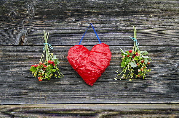 포토 JPG 해외이미지 식물 계절 열매 줄 음식 벽 백그라운드 컨셉 표면 주택 건강 사랑 사람없음 빨간색 초록색 파란색 농장 어둠 회색 수확 하트 직물 신선 달콤 다발 심볼 오브젝트 사인 질감 외양간 옛날 중고 해외202004 해외포토 모양 감정 컬러 농업 건물 맛 파일형식 이미지허브