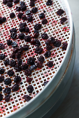 포토 JPG 해외이미지 스튜디오촬영 실내 사람없음 체리 건과일 건조기 해외202004 해외포토 과일 건조 내부 기계 파일형식 이미지허브