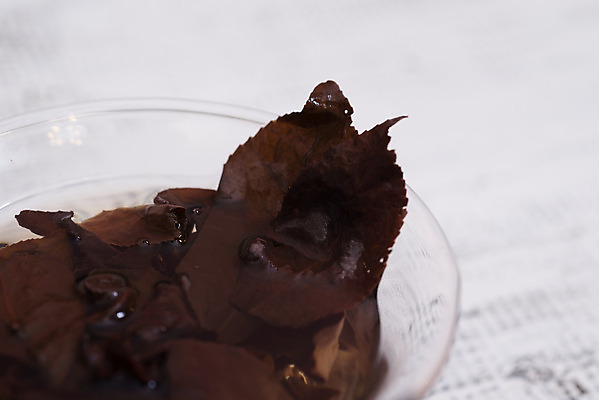 포토 JPG 해외이미지 식물 전통 아시아 문화 음료 백그라운드 잎 자연 탁자 건조 건강 사람없음 목재 컵 초록색 주방 일본 중국 머그컵 흰색 도자기 아침식사 씻기 찻잔 찻주전자 대만 허브 비만 상쾌 유기농 날것 냄새 동쪽 우롱차 카페인 해외202004 해외포토 나무 식기 웰빙 감정 나라 컬러 가구 재료 주전자 잔 차_음료 식사 청결 방향 몸매 생태계 파일형식 이미지허브