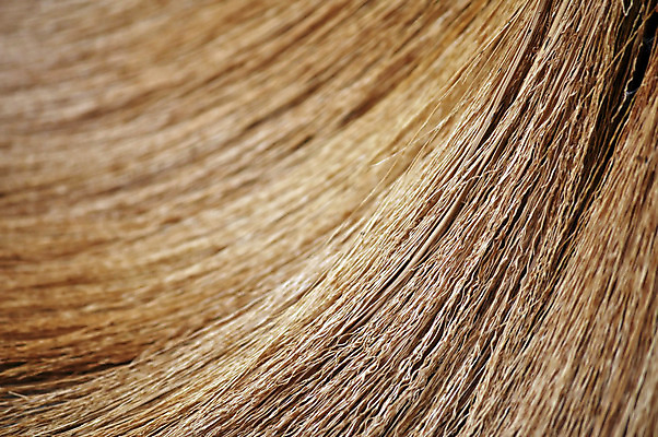 포토 JPG 해외이미지 디자인 백그라운드 가사 곡선 가정 자연 추상 바닥 주택 숙이기 사람없음 갈색 기계 장비 기구 공구 붓 황금 위생 빗자루 청소 오브젝트 아치 먼지 정리 밀짚 청소부 내추럴 실행 쓸기 위생관리 정리함 줄서기 스타일 해외202004 해외포토 직업 선 컬러 포즈 무늬 모션 관리 건물 도구 짚 청소도구 생태계 파일형식 이미지허브