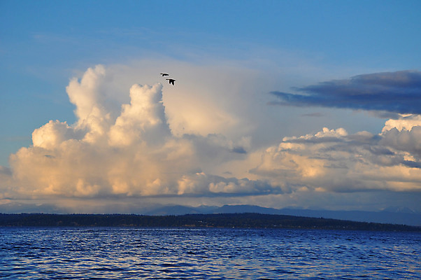 포토 JPG 해외이미지 구름 자연 하늘 산 풍경 사람없음 물 파란색 태양 황혼 일몰 흰색 만 쌍 거위 수평선 해외202004 해외포토 자연요소 컬러 조류 노을 생태계 파일형식 이미지허브