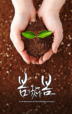 손 백그라운드 일러스트 캘리그라피 사람 글자캘리그라피 한글 신체부위 세트 새싹 흙 봄 감성 조합형타이포 국내일러스트 AI파일 식물 문자 계절 컨셉 타이포그라피 파일형식 벡터