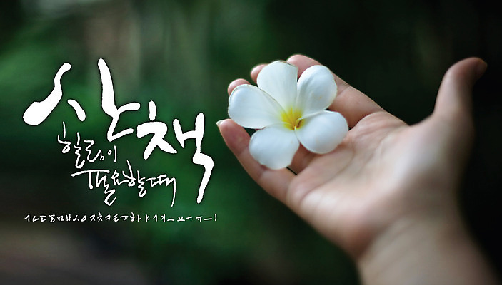 손 꽃잎 백그라운드 일러스트 캘리그라피 사람 글자캘리그라피 한글 신체부위 세트 산책 힐링 감성 조합형타이포 국내일러스트 AI파일 문자 꽃 컨셉 휴식 타이포그라피 파일형식 벡터