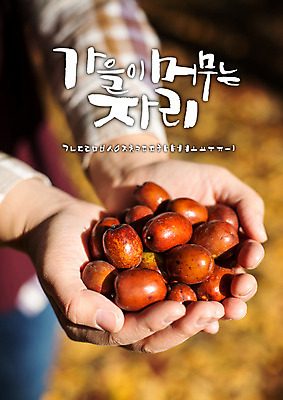 손 백그라운드 일러스트 캘리그라피 사람 글자캘리그라피 한글 신체부위 세트 가을 대추 감성 조합형타이포 가을배경 국내일러스트 AI파일 문자 계절 컨셉 타이포그라피 파일형식 벡터 가을_계절