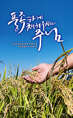 손 백그라운드 일러스트 캘리그라피 사람 글자캘리그라피 한글 신체부위 세트 벼 가을 예수 감성 추수감사절 조합형타이포 가을배경 국내일러스트 AI파일 문자 계절 기독교 컨셉 곡류 타이포그라피 신_종교 파일형식 벡터 가을_계절