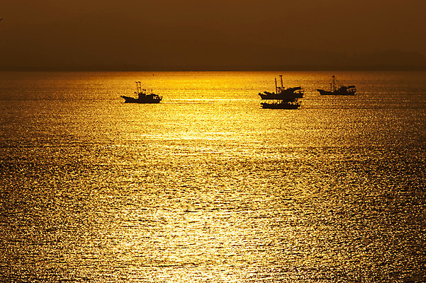 포토 JPG 주간 바다 한국 풍경 사람없음 야외 일몰 어선 여러척 황청포구 국내포토 자연요소 아시아 다수 배_교통 노을 인천 파일형식