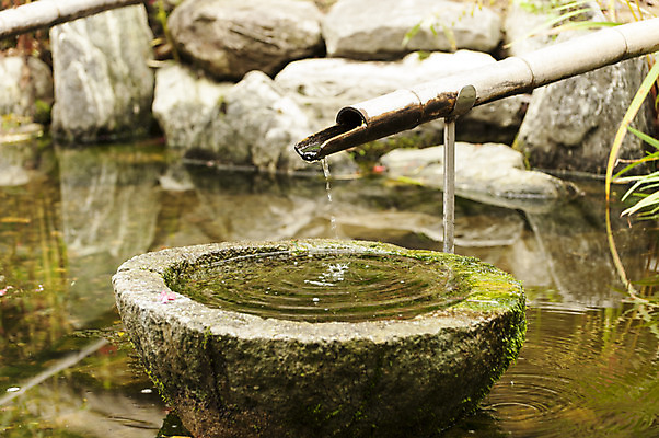 포토 JPG 주간 한국 사람없음 야외 물 바위 샘물 대나무 약수터 국내포토 자연요소 나무 아시아 돌_바위 파일형식