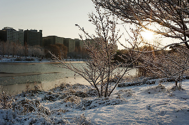 포토 JPG 주간 나무 호수 겨울 한국 풍경 사람없음 야외 건물 햇빛 일몰 눈 앙상함 호수공원 겨울풍경 국내포토 자연요소 식물 건축물 계절 공원 아시아 날씨 태양 노을 파일형식