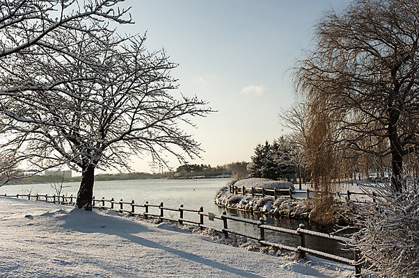 포토 JPG 주간 나무 호수 겨울 한국 풍경 사람없음 야외 울타리 눈 앙상함 호수공원 겨울풍경 국내포토 자연요소 식물 계절 공원 아시아 날씨 담장 파일형식