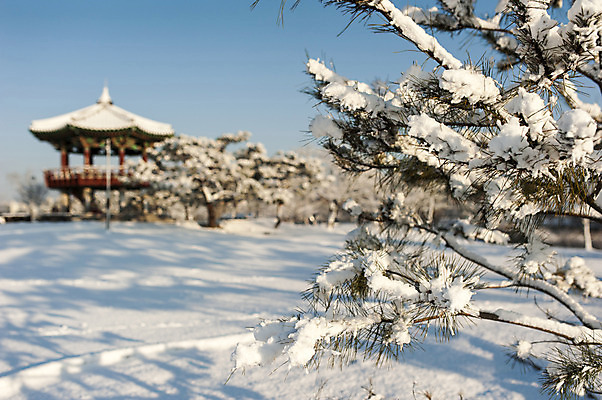 포토 JPG 주간 겨울 한국 사람없음 야외 아웃포커스 나뭇가지 눈 호수공원 국내포토 자연요소 나무 계절 공원 아시아 날씨 촬영기법 파일형식