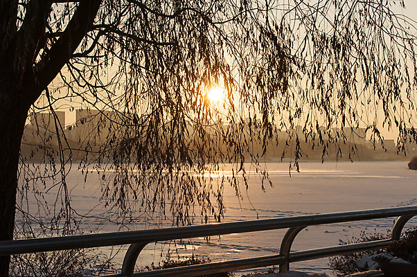 포토 JPG 주간 나무 호수 난간 한국 풍경 사람없음 야외 태양 일몰 호수공원 국내포토 자연요소 식물 공원 아시아 노을 파일형식