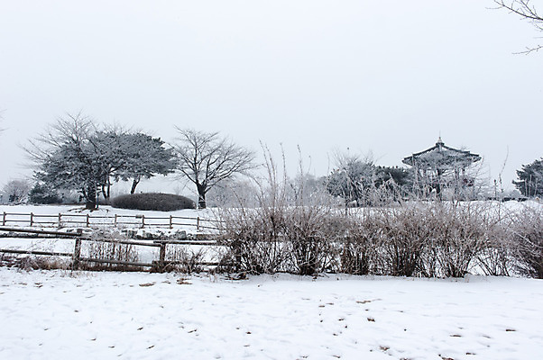 포토 JPG 주간 나무 식물 겨울 한국 풍경 사람없음 야외 울타리 눈 정자 호수공원 겨울풍경 국내포토 자연요소 건축물 계절 공원 아시아 날씨 담장 파일형식
