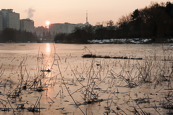 포토 JPG 주간 식물 호수 겨울 한국 풍경 사람없음 야외 건물 일출 일몰 앙상함 호수공원 겨울풍경 국내포토 자연요소 건축물 계절 공원 아시아 노을 파일형식