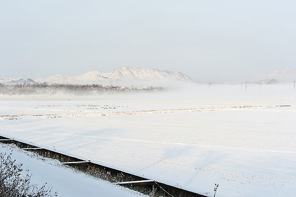 포토 JPG 주간 겨울 한국 풍경 사람없음 야외 설원 눈 임진각 겨울풍경 국내포토 자연요소 계절 아시아 날씨 눈_날씨 파주 파일형식