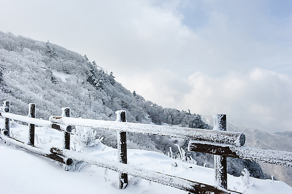 포토 JPG 주간 설경 겨울 하늘 한국 풍경 사람없음 야외 울타리 눈 겨울산 덕유산 무주 향적봉 겨울풍경 국내포토 자연요소 계절 아시아 날씨 산 담장 전라북도 파일형식