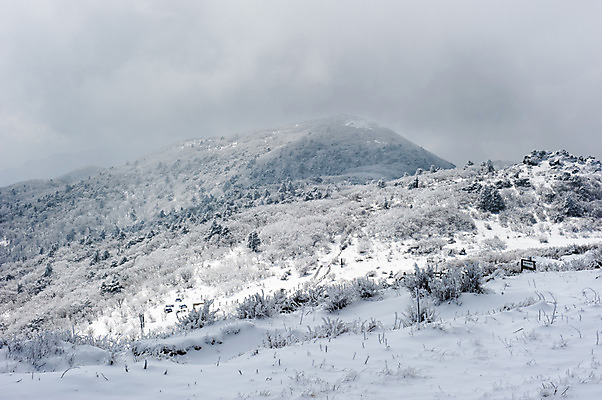 포토 JPG 주간 나무 설경 한국 풍경 사람없음 야외 눈 겨울산 덕유산 무주 향적봉 겨울풍경 국내포토 자연요소 식물 아시아 겨울 날씨 산 전라북도 파일형식