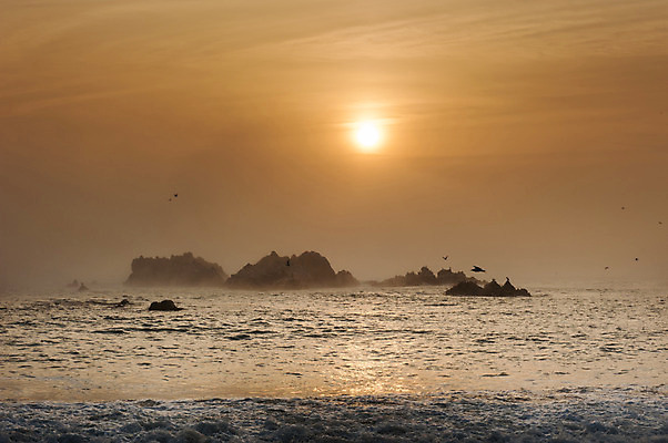 포토 JPG 주간 바다 한국 풍경 사람없음 야외 태양 일출 일몰 안개 바위 경주 문무대왕릉 국내포토 자연요소 아시아 날씨 노을 돌_바위 경상북도 파일형식