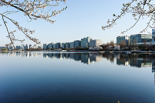 포토 JPG 주간 공원 호수 한국 풍경 사람없음 야외 건물 반사 봄 벚꽃 나뭇가지 호수공원 국내포토 자연요소 나무 건축물 계절 공공시설 꽃 아시아 파일형식