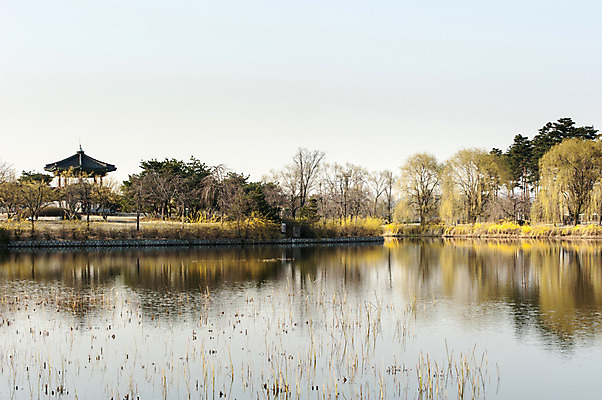 포토 JPG 주간 나무 공원 호수 하늘 한국 풍경 사람없음 야외 반사 봄 정자 호수공원 국내포토 자연요소 식물 건축물 계절 공공시설 아시아 파일형식