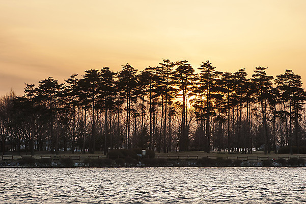 포토 JPG 주간 나무 호수 하늘 한국 여러그루 풍경 사람없음 야외 일몰 호수공원 국내포토 자연요소 식물 공원 아시아 다수 노을 파일형식